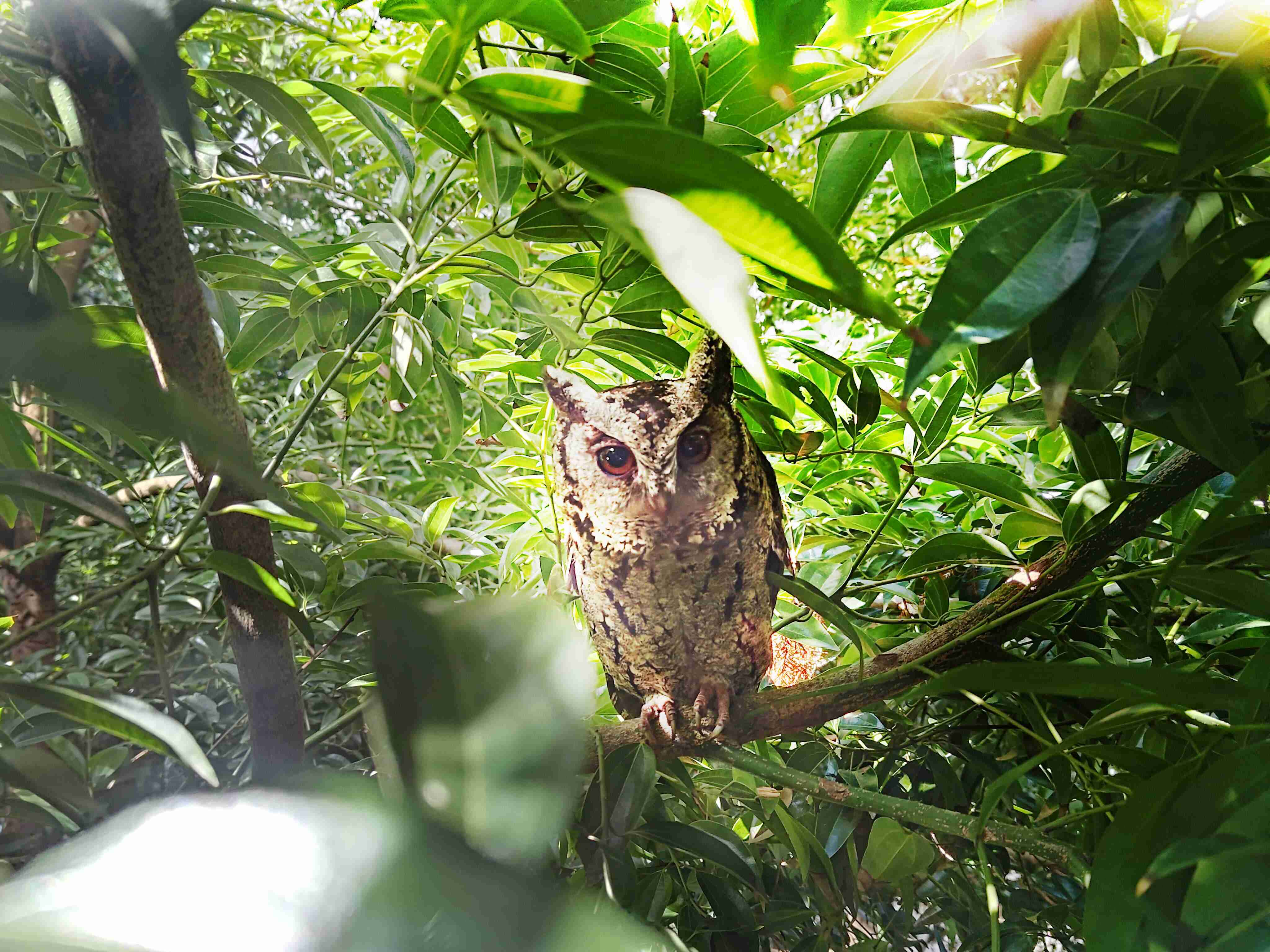28国际致力提倡净零绿生活，，16年以来在全球各厂区植树逾百万棵，，，，造就各厂区树木蔚然成林，，犹如森林工厂，，，，成为许多生物的栖息地